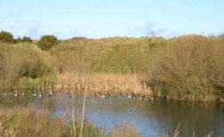 To preserve and enhance the local biodiversity though looking for ways to encourage wildlife into the quarry and its surroundings